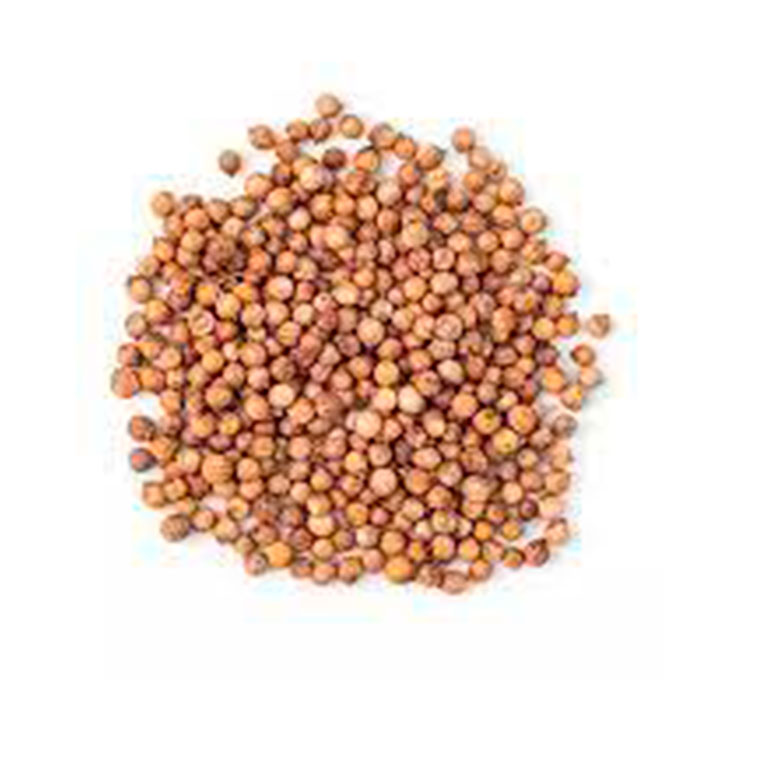 CILANTRO SEMILLAS GRANEL HERBORISTERIA  KILOS