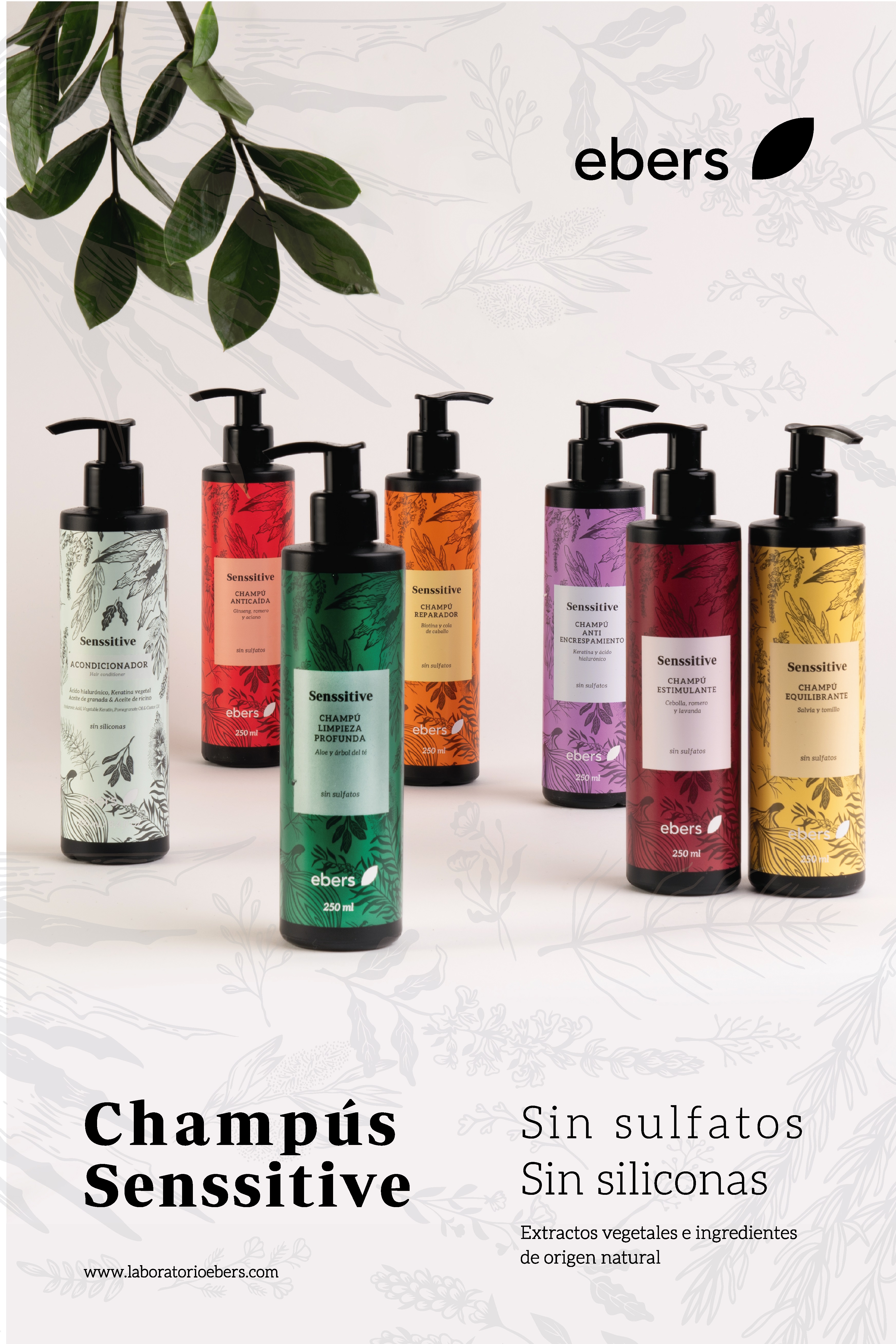*DISPLAY PACK COMPLETO CHAMPUS SENSSITIVE (CON ACONDICIONADOR) EBERS