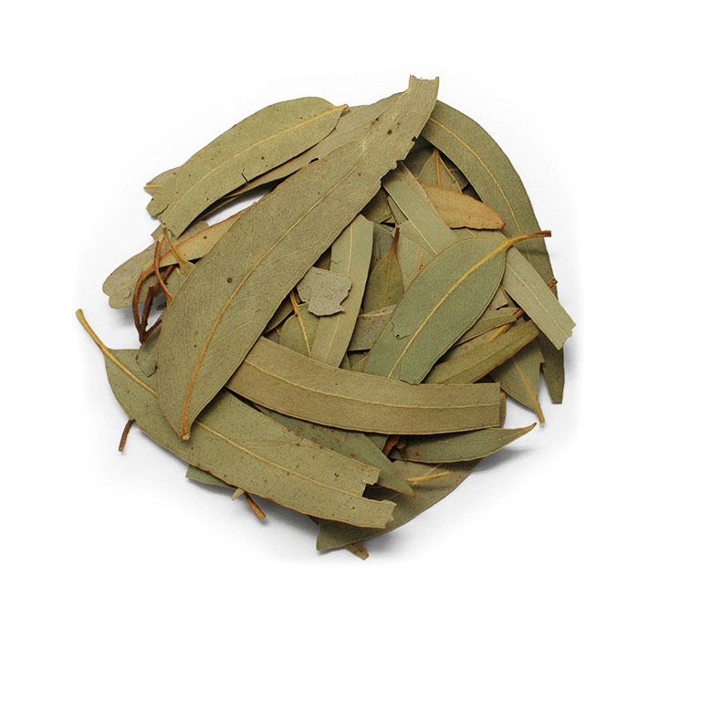 EUCALIPTO HOJA CORTADA GRANEL HERBORISTERIA  KILOS