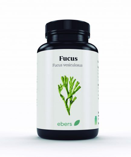 FUCUS 500 mg 100 COMPRIMIDOS EBERS