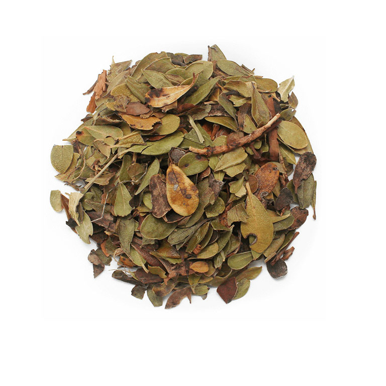 GAYUBA GRANEL HERBORISTERIA  KILOS