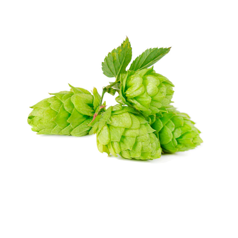 LUPULO GRANEL HERBORISTERIA  KILOS