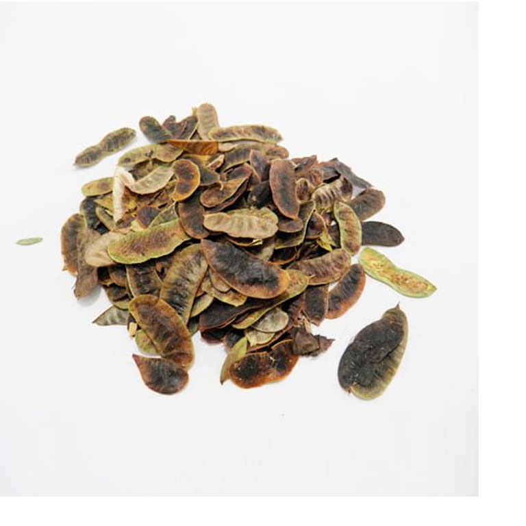 SEN FOLICULOS GRANEL HERBORISTERIA  KILOS