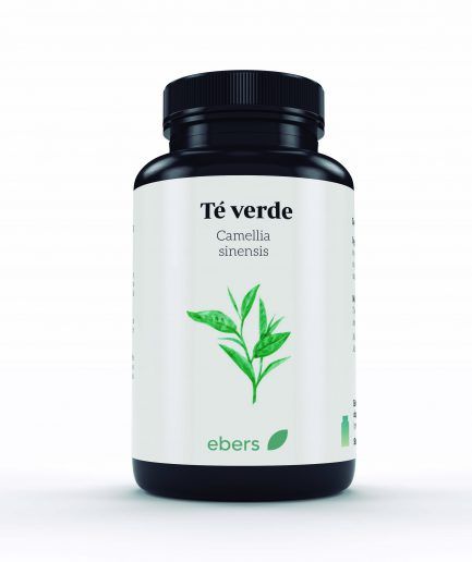 TE VERDE 400 mg 60 CÁPSULAS EBERS