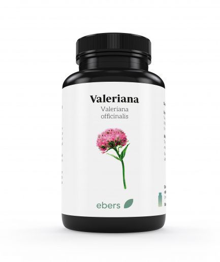 VALERIANA 500 mg 60 CÁPSULAS EBERS